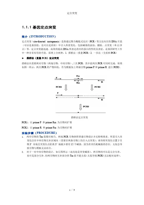 定点突变