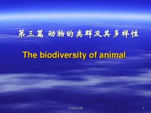 041 原生动物和多细胞动物起源