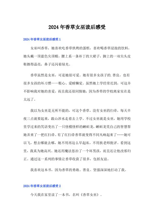 2024年香草女巫读后感受