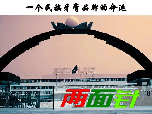 管理学案例两面针公司