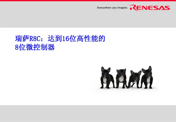 R8C系列简介 Chinese presentation