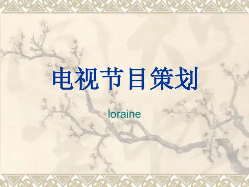 电视节目策划