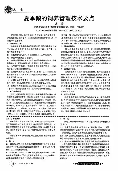 夏季鹅的饲养管理技术要点