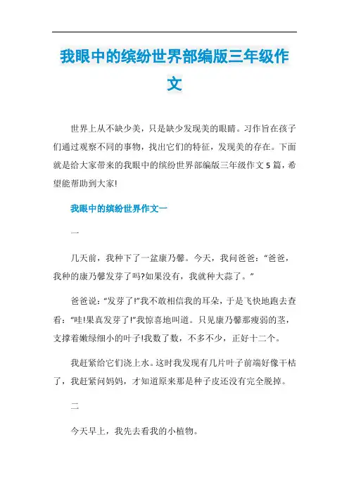 我眼中的缤纷世界部编版三年级作文