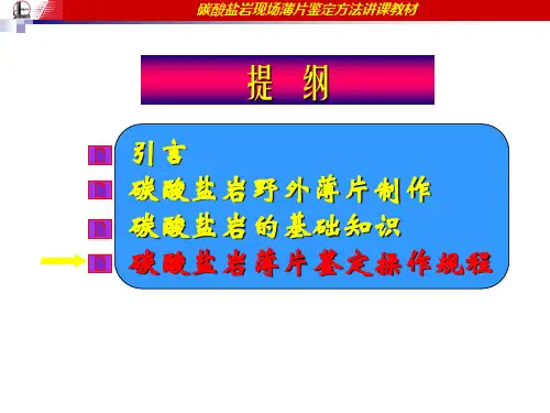 3薄片鉴定操作规程