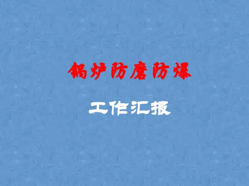 火力发电锅炉专业防磨防爆经验交流