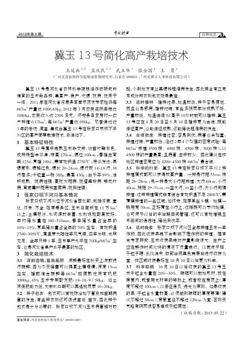 冀玉13号简化高产栽培技术