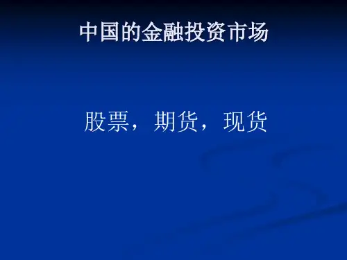 中国的投资市场 (2)-PPT资料16页