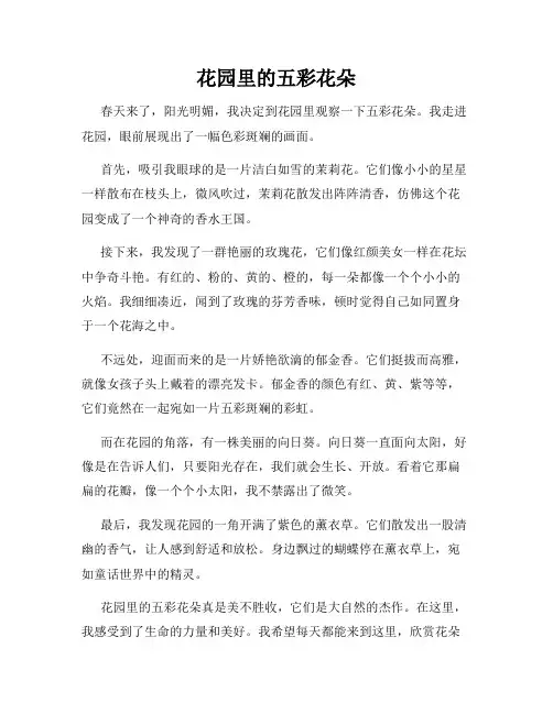 小学三年级作文这儿真美范文花园里的五彩花朵
