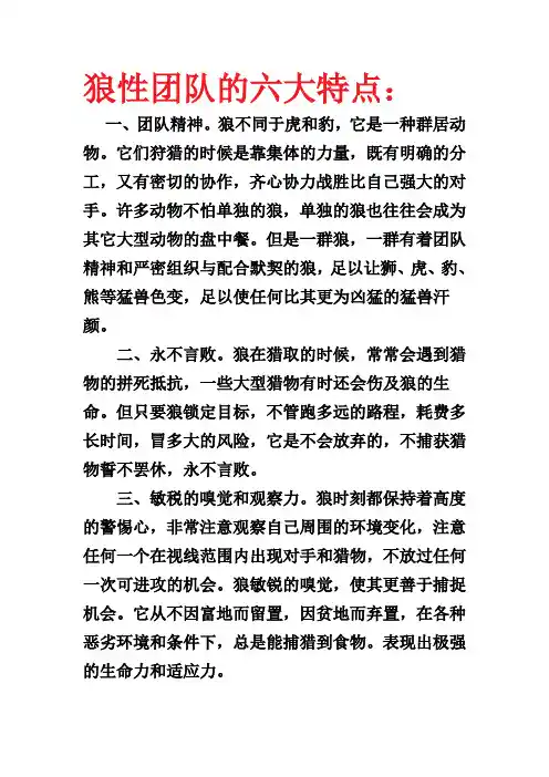 狼性团队的六大特点