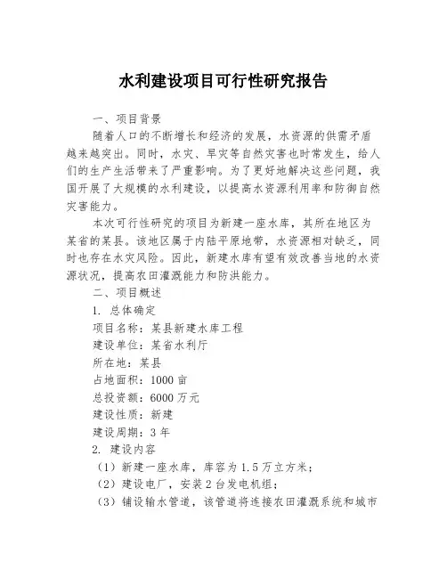 水利建设项目可行性研究报告