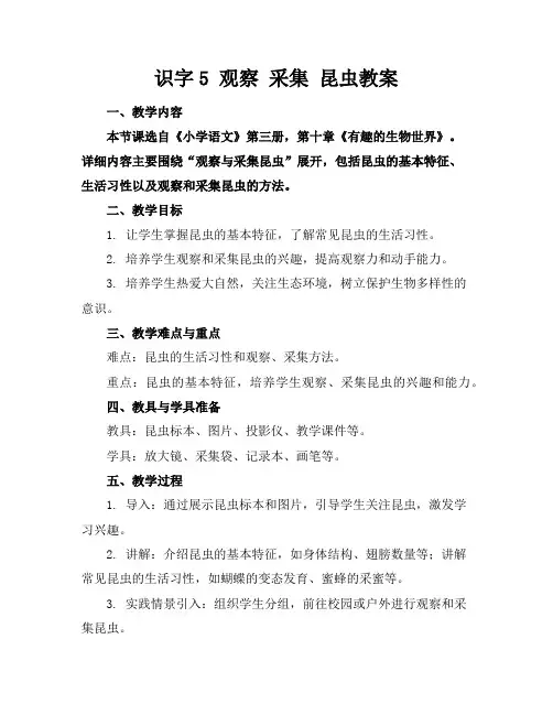 识字5观察采集昆虫教案