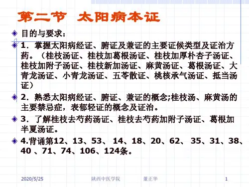 第二部分太阳本证