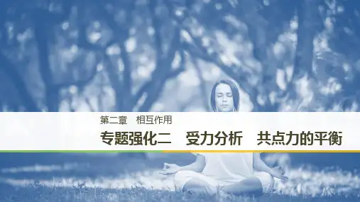 2019届高考一轮复习备考资料之物理课件：第二章 专题强化二 受力分析 共点力的平衡 精品