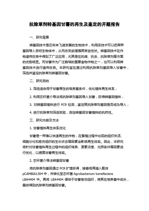 抗除草剂转基因甘薯的再生及鉴定的开题报告