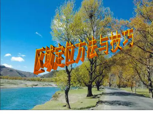 地理区域定位方法与技巧