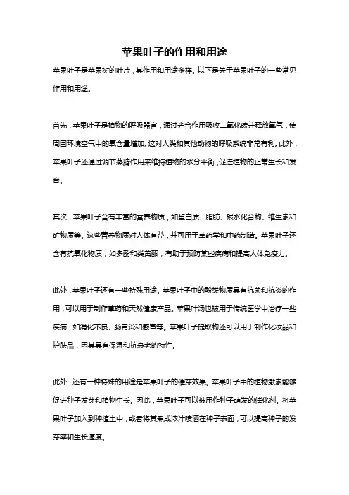 苹果叶子的作用和用途