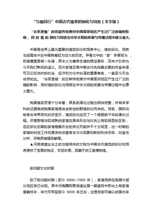 “与猪同行”中国古代猪类的驯化与饲养（文字版）