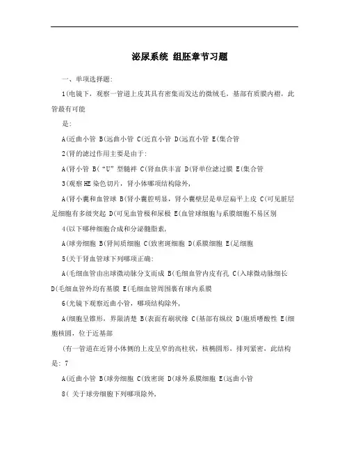 泌尿系统  组胚章节习题
