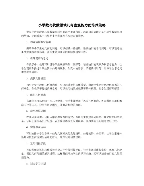 小学数与代数领域几何直观能力的培养策略