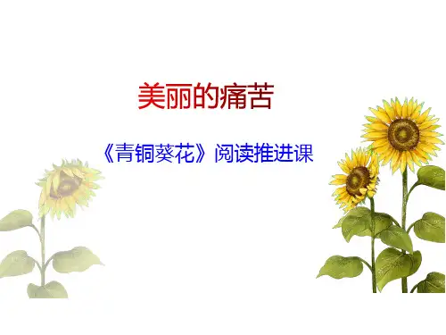 统编版语文四年级下册《青铜葵花》阅读推进课(课件)