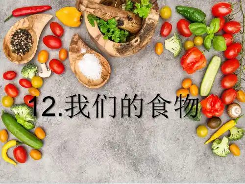 青岛版二年级科学上册12.我们的食物