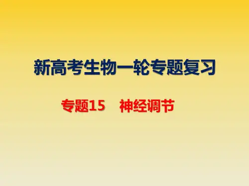 新高考生物一轮专题复习：15 神经调节