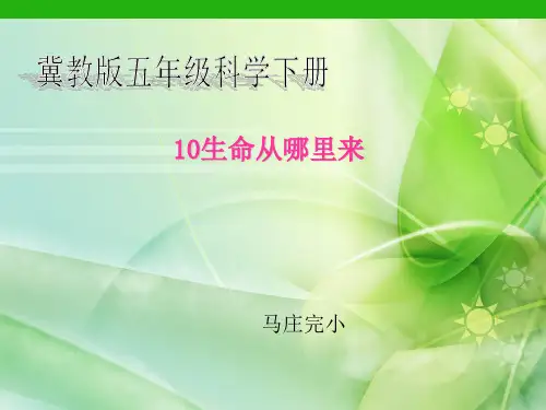 五年级下册科学-生命从哪里来优秀课件冀教版5