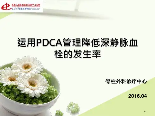 运用PDCA管理降低深静脉血栓的发生率PPT参考幻灯片