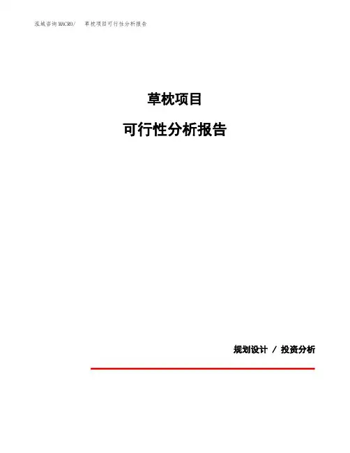 草枕项目可行性分析报告(模板参考范文)