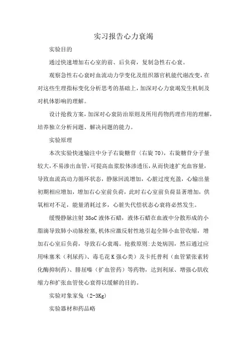 实习报告心力衰竭