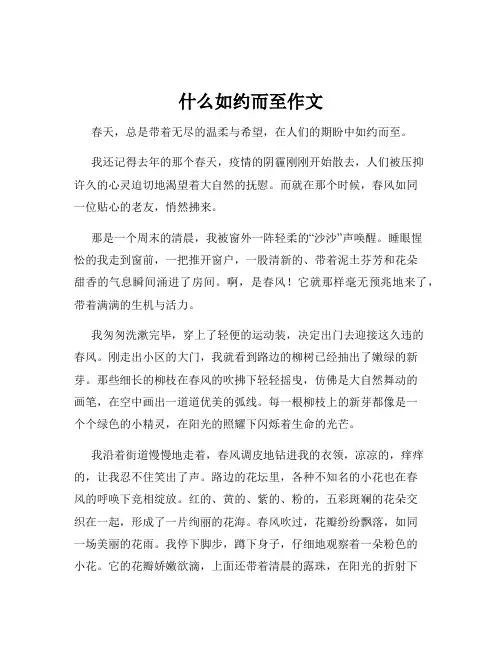 什么如约而至作文