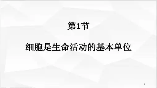高中生物 人教版 必修1 第1章 走近细胞 第1节 细胞是生命活动的基本单位 课件
