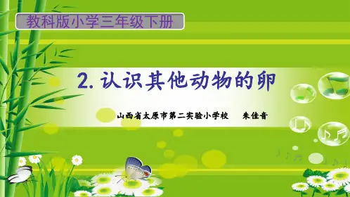 2.2《认识其他动物的卵》教学课件