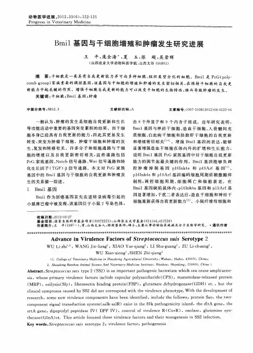 Bmil基因与干细胞增殖和肿瘤发生研究进展