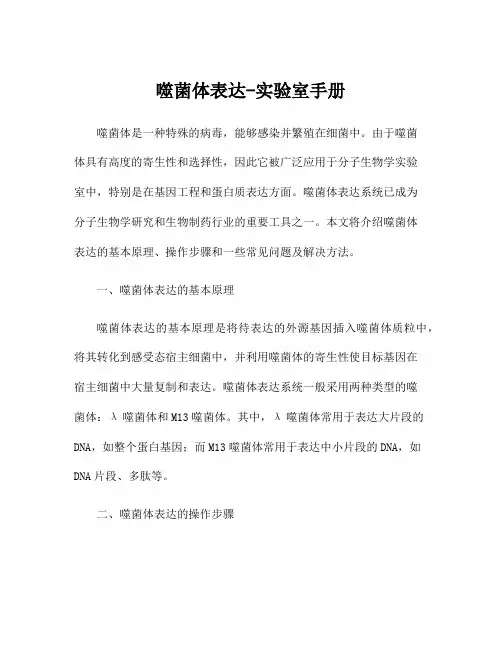 噬菌体表达-实验室手册