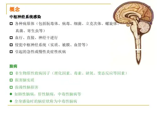 中枢神经系统感染课件_【PPT课件】