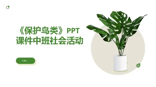 《保护鸟类》PPT课件中班社会活动