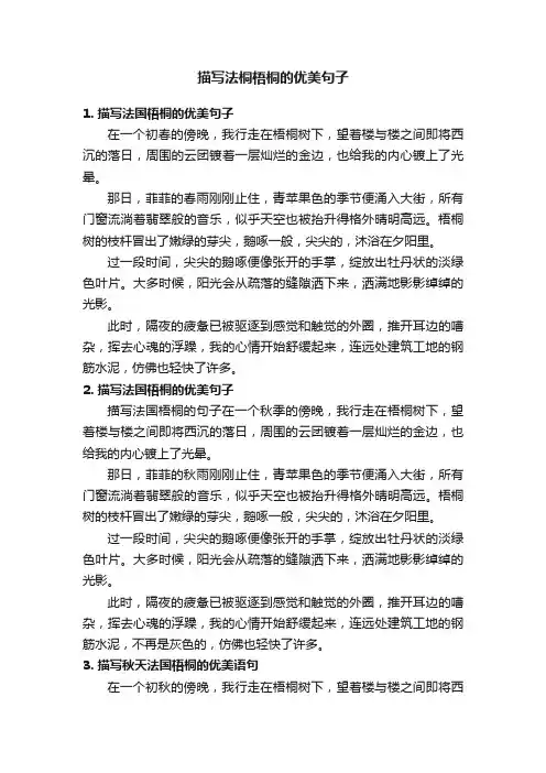 描写法桐梧桐的优美句子