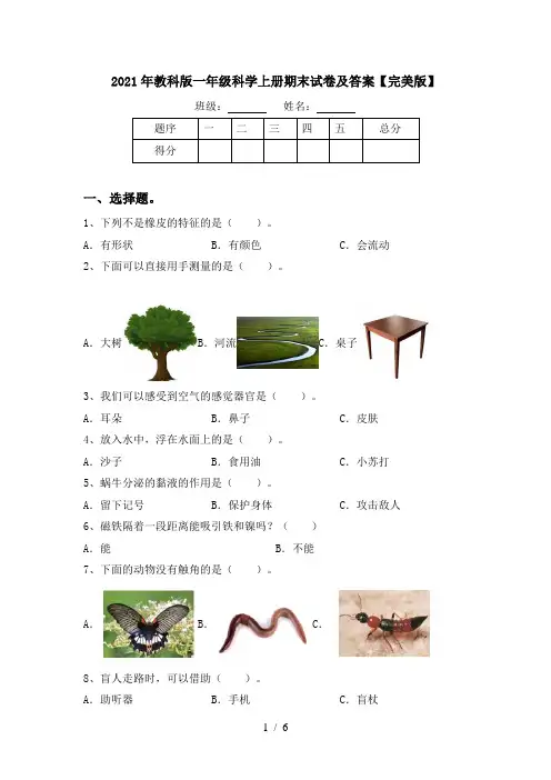 2021年教科版一年级科学上册期末试卷及答案【完美版】