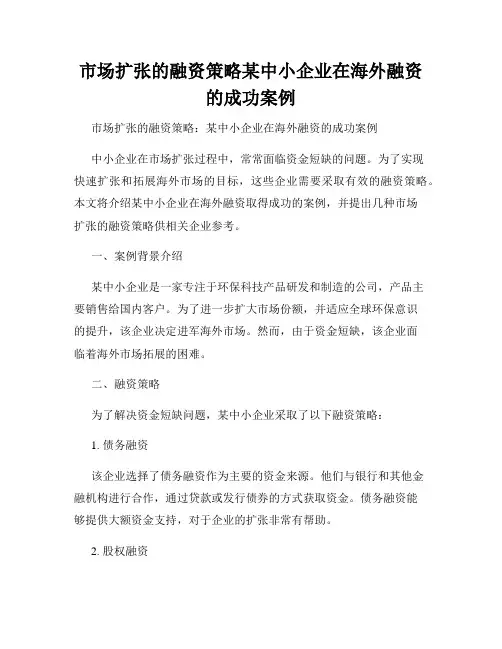 市场扩张的融资策略某中小企业在海外融资的成功案例