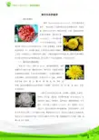 菊花的品质鉴别.