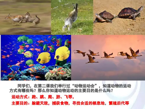 四年级上册科学课件-3 生命在于运动丨冀教版 (共15张PPT)