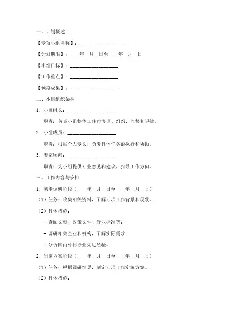 专项小组工作计划模板