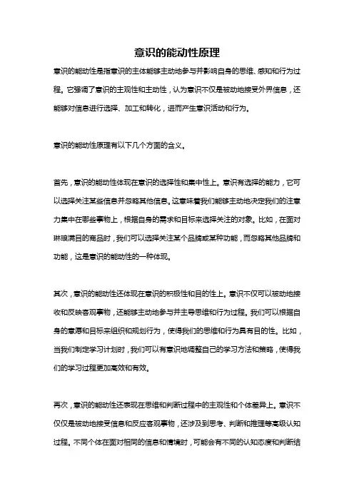 意识的能动性原理
