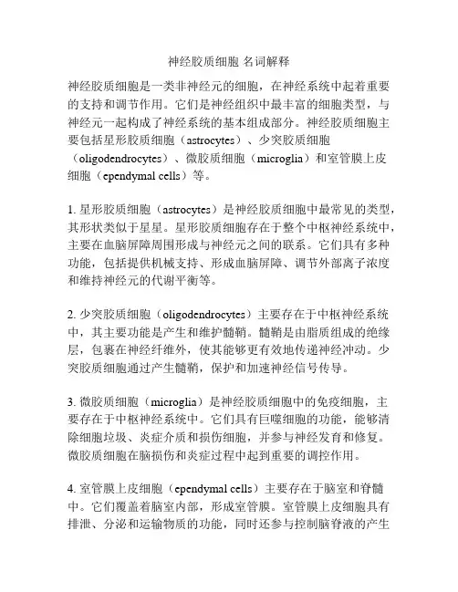 神经胶质细胞 名词解释