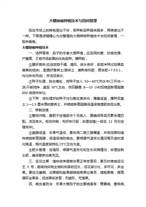 大棚辣椒种植技术与田间管理