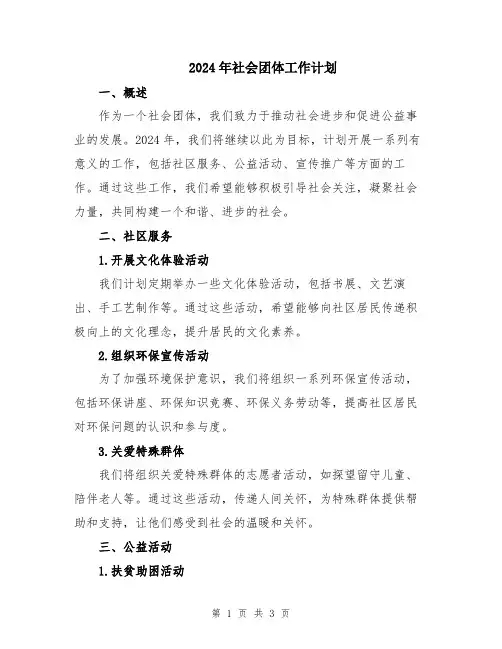 2024年社会团体工作计划