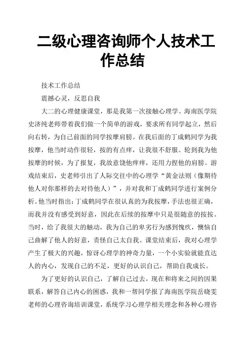二级心理咨询师个人技术工作总结