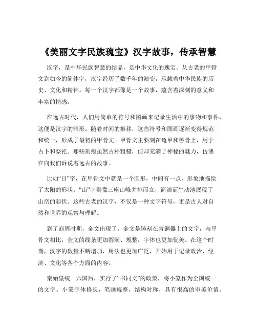 《美丽文字民族瑰宝》汉字故事,传承智慧